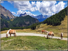 foto Dai Laghi di Rocco al Passo 5 Croci